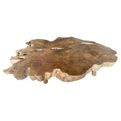Andrianna Shamaris Monumental Rare Burl Teak Wood Coffee Table