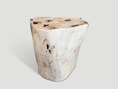 Tavolino in legno pietrificato organico moderno e dalle mille sfaccettature di Adrianna Shamaris