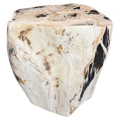 Tavolino in legno pietrificato organico moderno e dalle mille sfaccettature di Adrianna Shamaris
