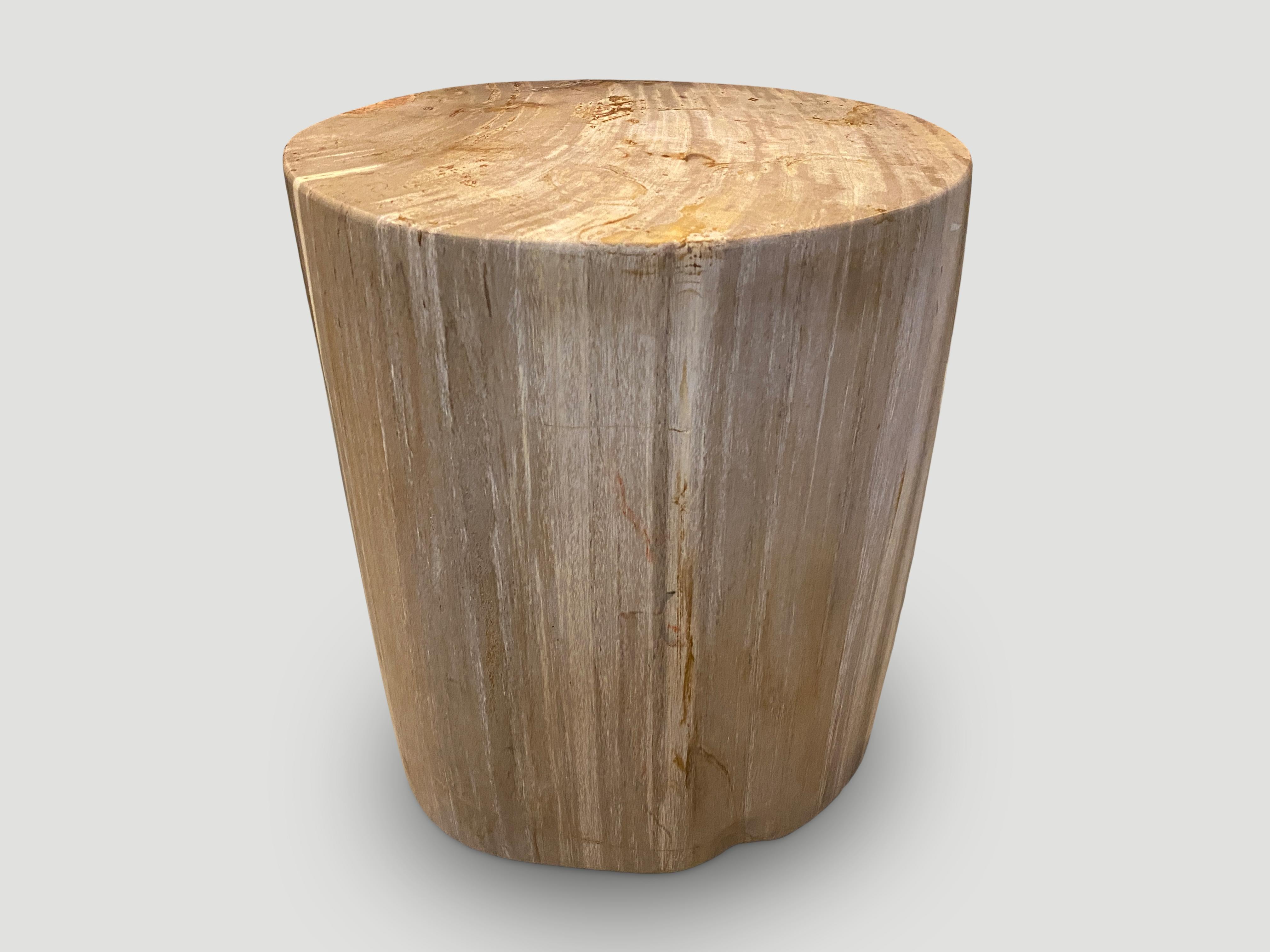 Beautiful neutral tones and markings on this high quality petrified wood side table. It’s fascinating how Mother Nature produces these exquisite 40 million year old petrified teak logs with such contrasting colors and natural patterns throughout.