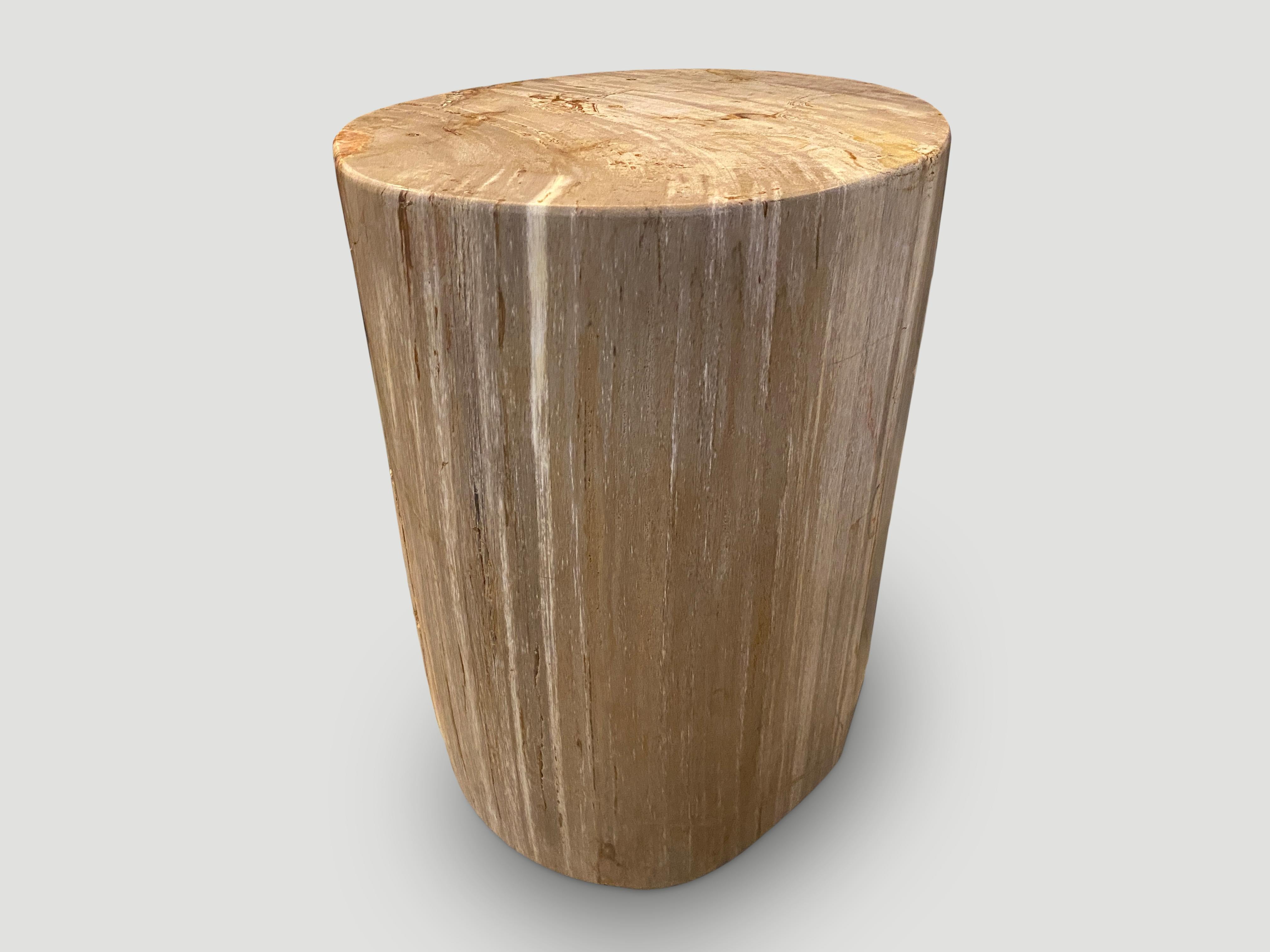 Organic Modern Andrianna Shamaris Neutral Toned High Quality Petrified Wood Side Table