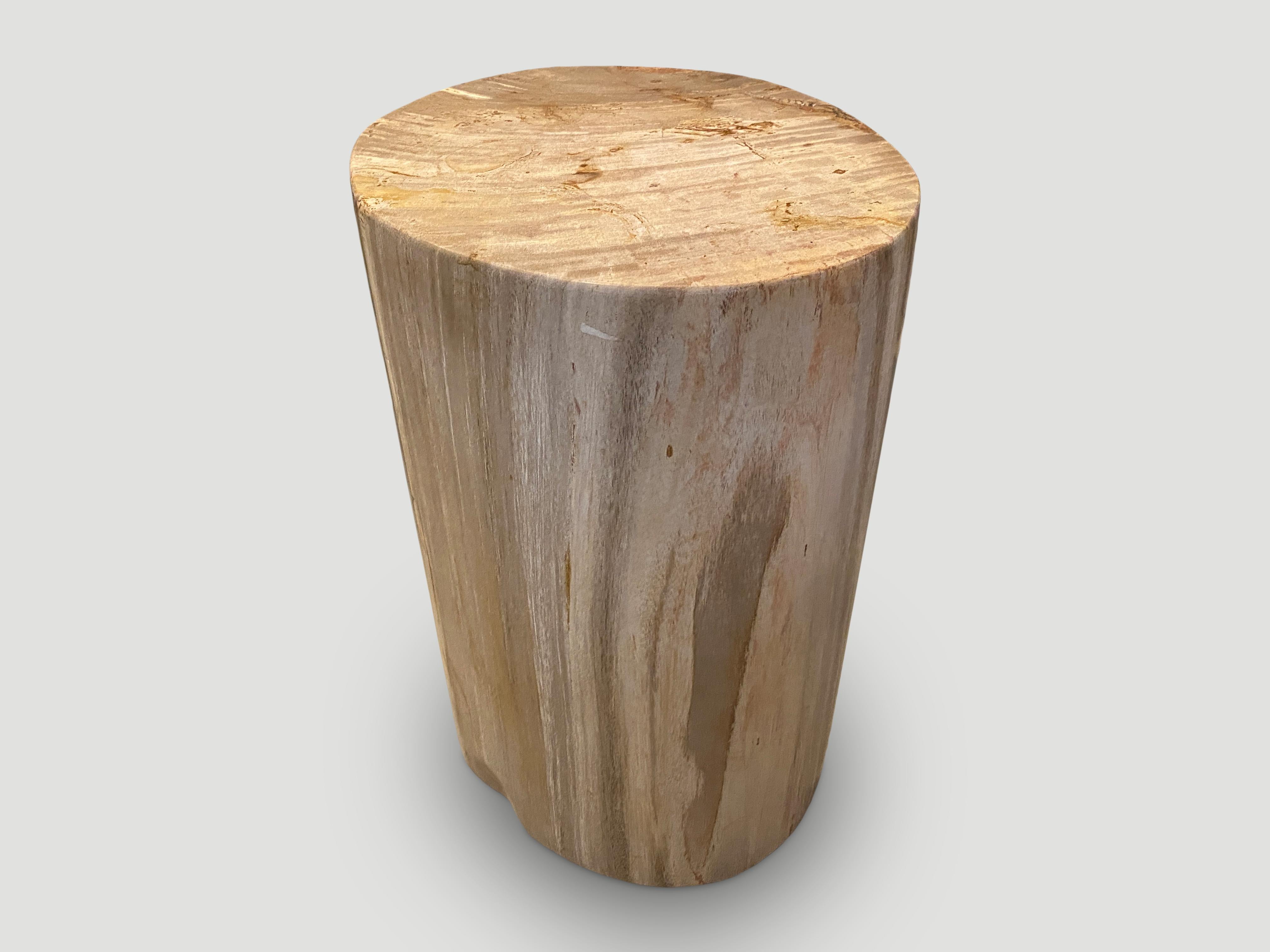 Andrianna Shamaris Neutral Toned High Quality Petrified Wood Side Table In Excellent Condition In New York, NY