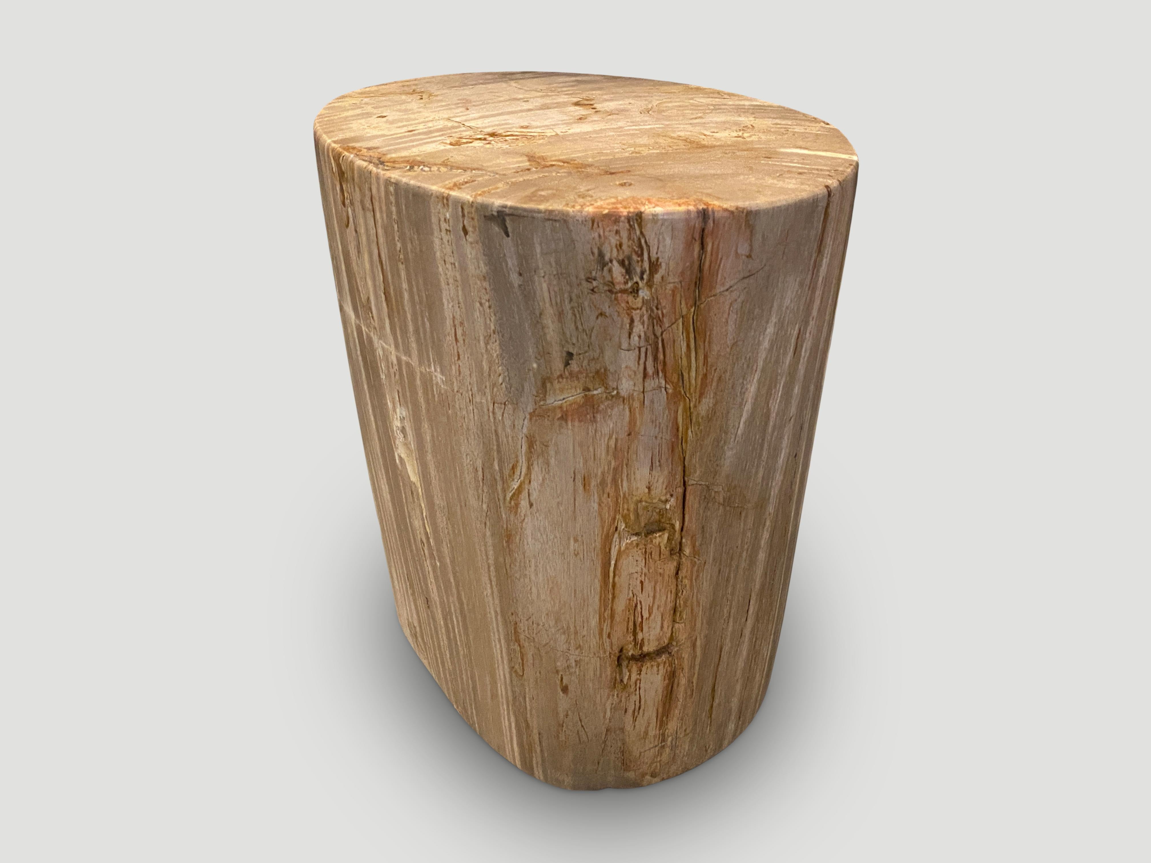 Contemporary Andrianna Shamaris Neutral Toned High Quality Petrified Wood Side Table