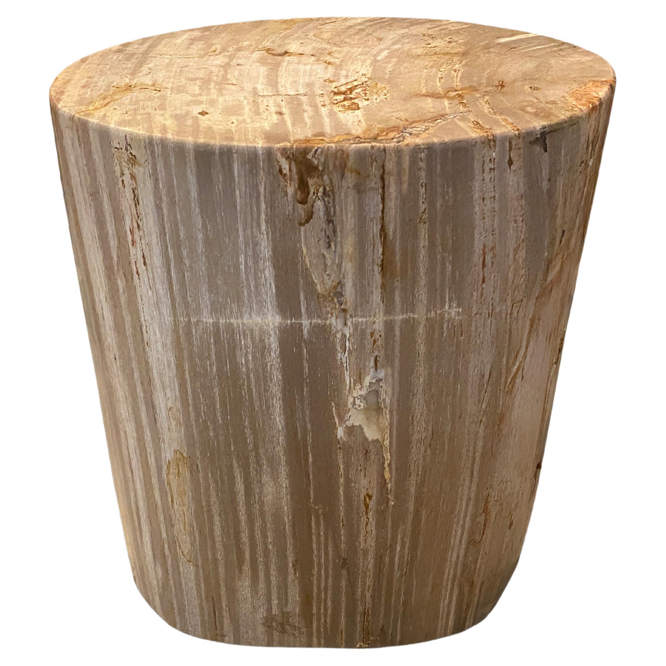 Andrianna Shamaris Neutral Toned High Quality Petrified Wood Side Table