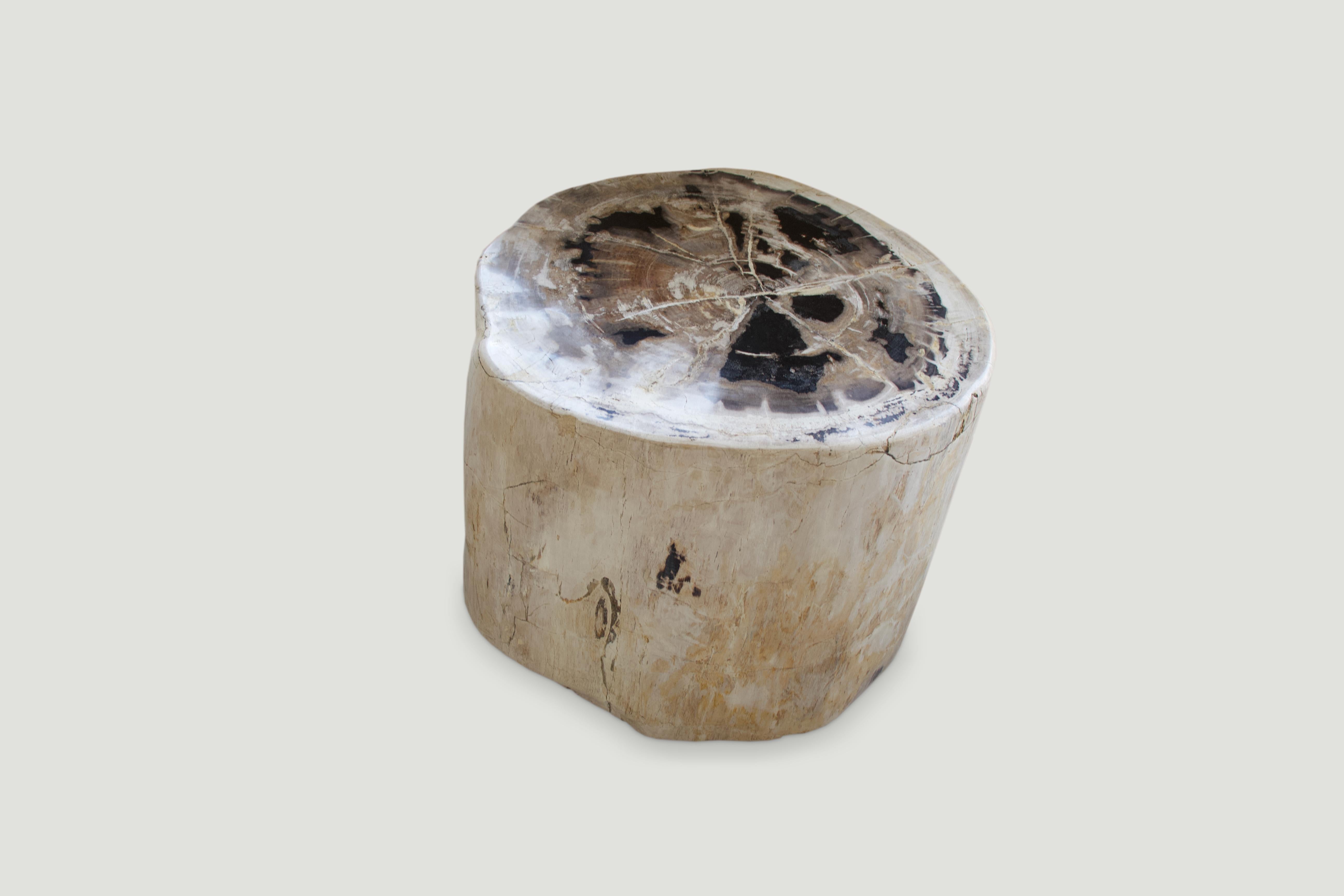 We have a pair of these beautiful side tables, cut from the same petrified wood log. The price reflects the one shown.

As with a diamond, we polish the highest quality fossilized petrified wood, using our latest ground breaking technology, to