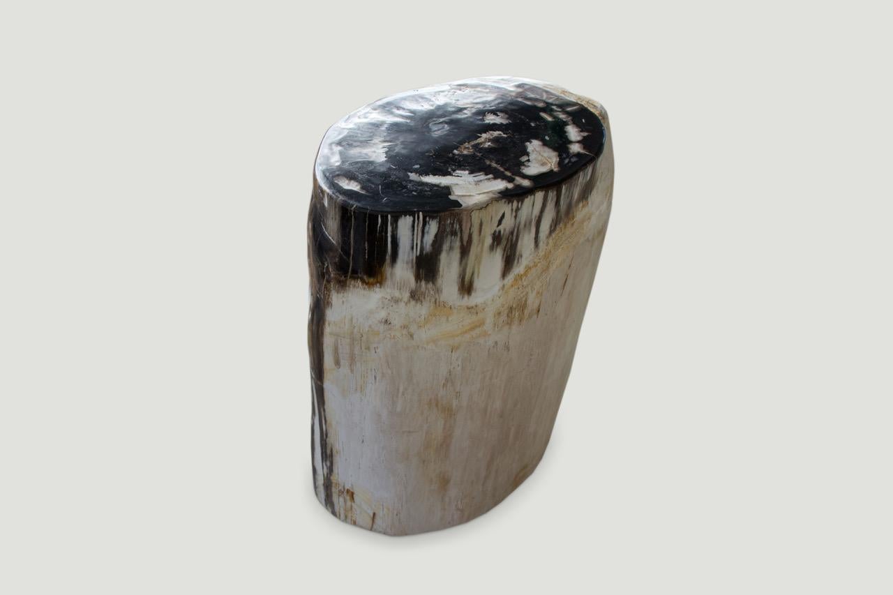 Beautiful contrasting neutral tones on this high quality petrified wood side table. It’s fascinating how Mother Nature produces these stunning 40 million year old petrified teak logs with such contrasting colors with natural patterns throughout.