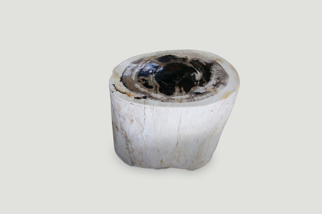 We have four of these beautiful side tables all cut from the same petrified wood log. The price reflects the one shown.

As with a diamond, we polish the highest quality fossilized petrified wood, using our latest ground breaking technology, to