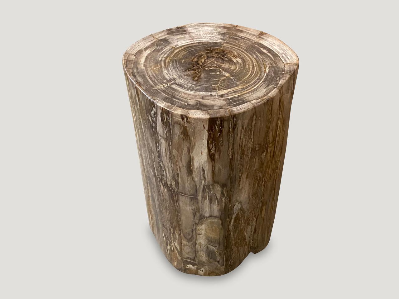 High quality petrified wood side table. It’s fascinating how Mother Nature produces these exquisite 40 million year old petrified teak logs with such contrasting colors and natural patterns throughout. Modern yet with so much history.

As with a