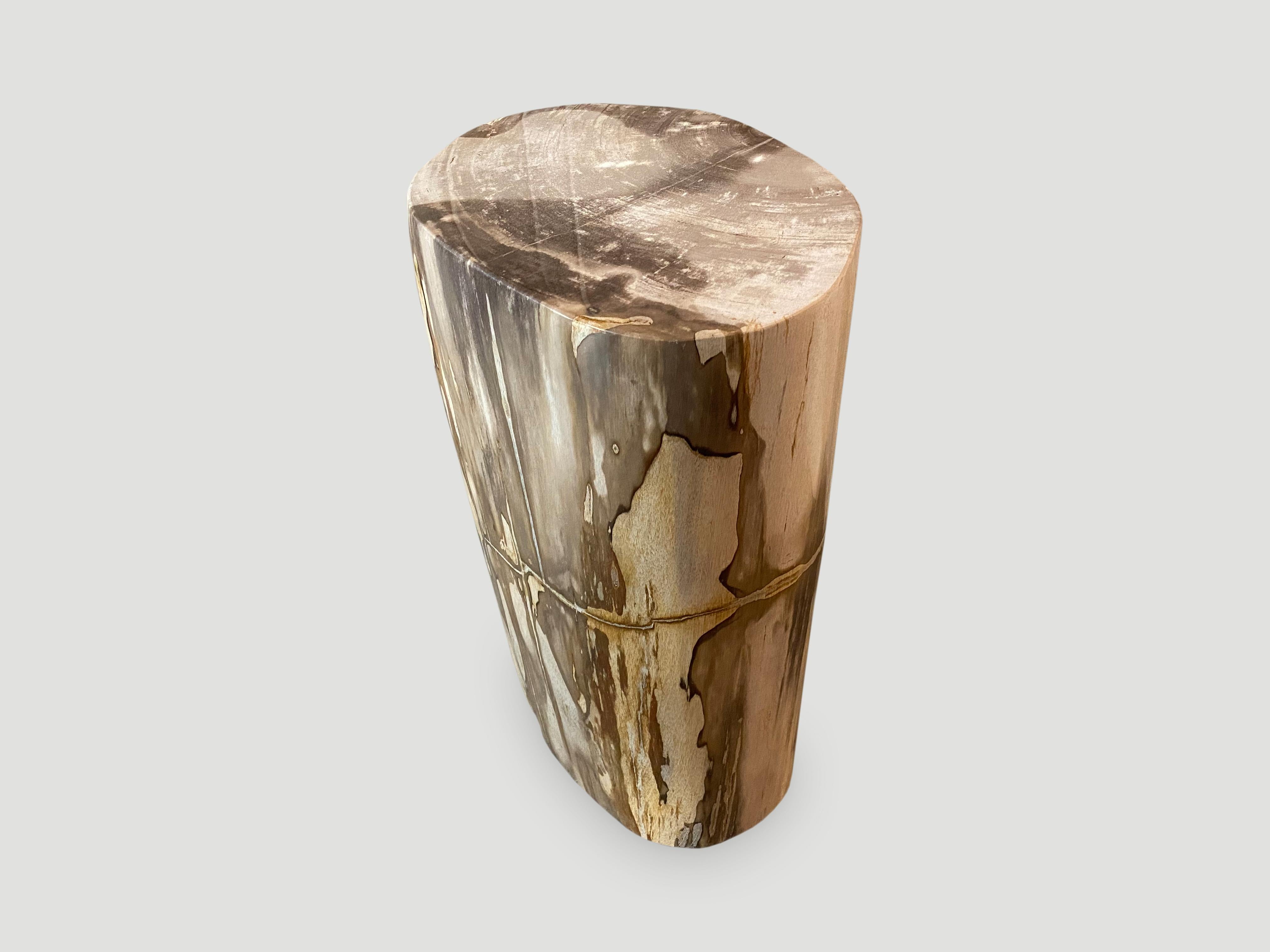 Beautiful high quality petrified wood side table. It’s fascinating how Mother Nature produces these exquisite 40 million year old petrified teak logs with such contrasting colors and natural patterns throughout. Modern yet with so much history. This