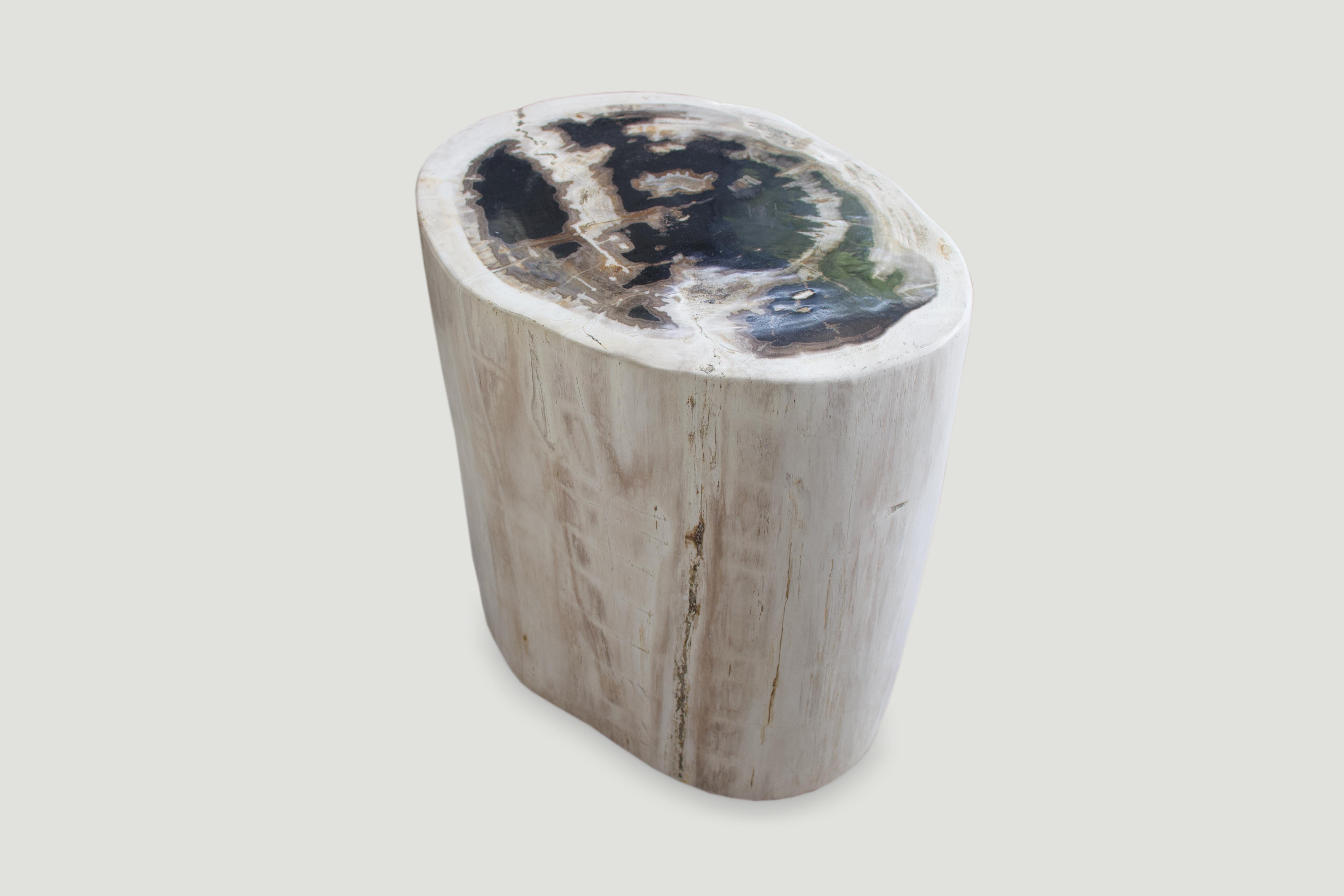 Organic Modern Andrianna Shamaris Neutral Toned Petrified Wood Side Table