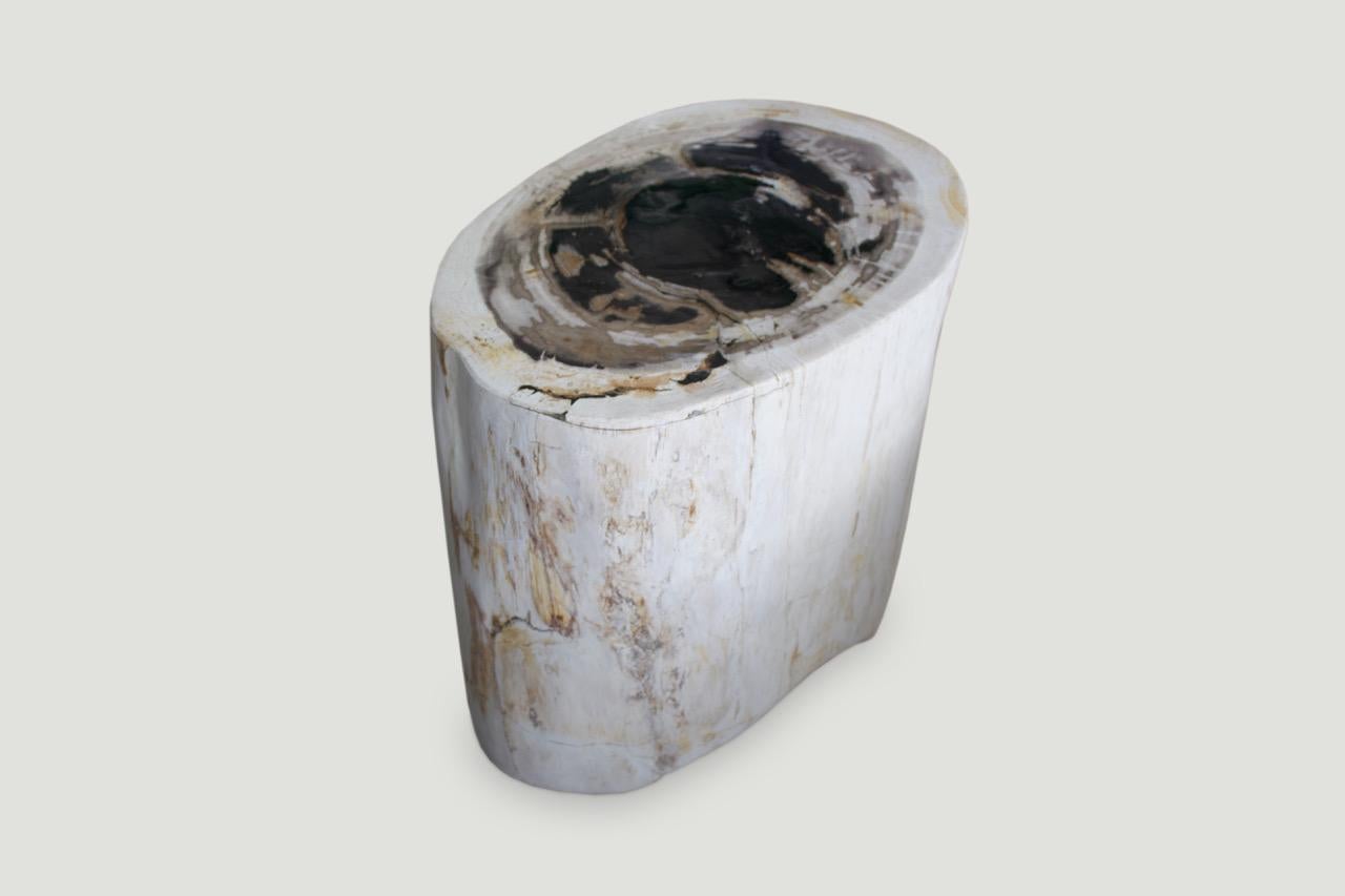 Andrianna Shamaris Neutral Toned Petrified Wood Side Table In Excellent Condition In New York, NY