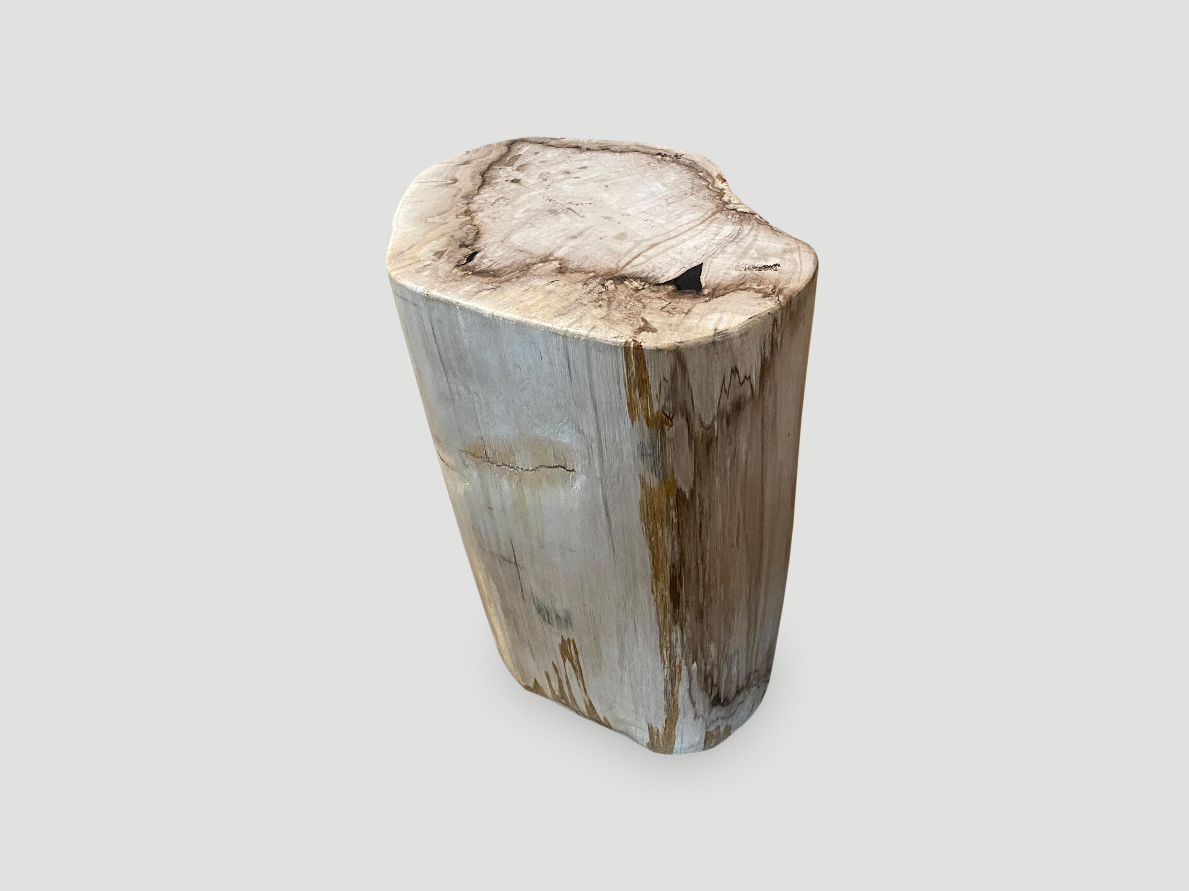 Andrianna Shamaris Neutral Toned Petrified Wood Side Table In Excellent Condition In New York, NY