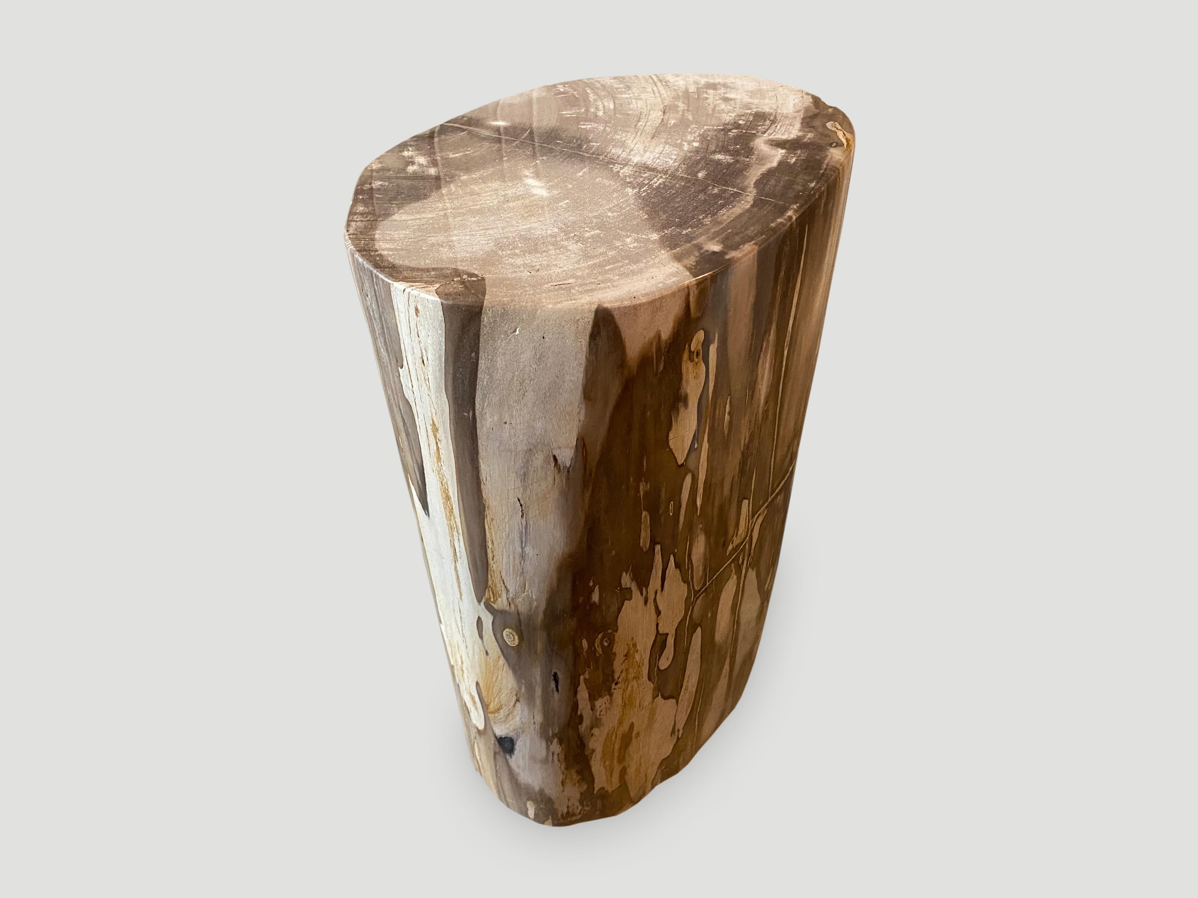 18th Century and Earlier Andrianna Shamaris Neutral Toned Petrified Wood Side Table