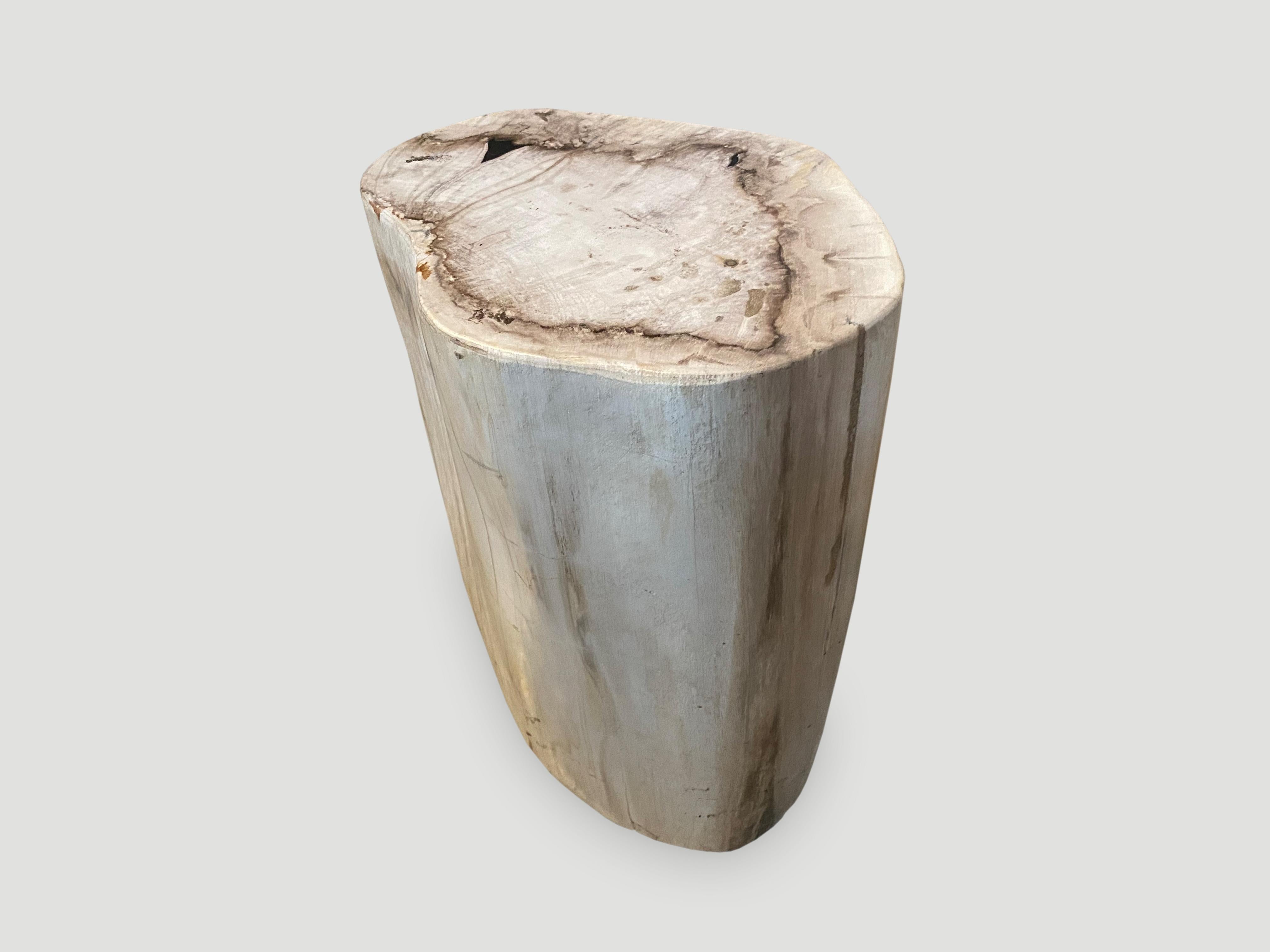 18th Century and Earlier Andrianna Shamaris Neutral Toned Petrified Wood Side Table
