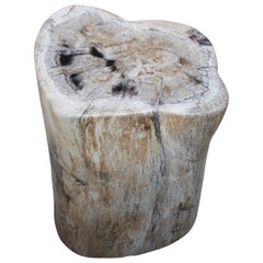 Andrianna Shamaris Neutral Toned Petrified Wood Side Table Andrianna Shamaris Neutral Toned Petrified Wood Side Table