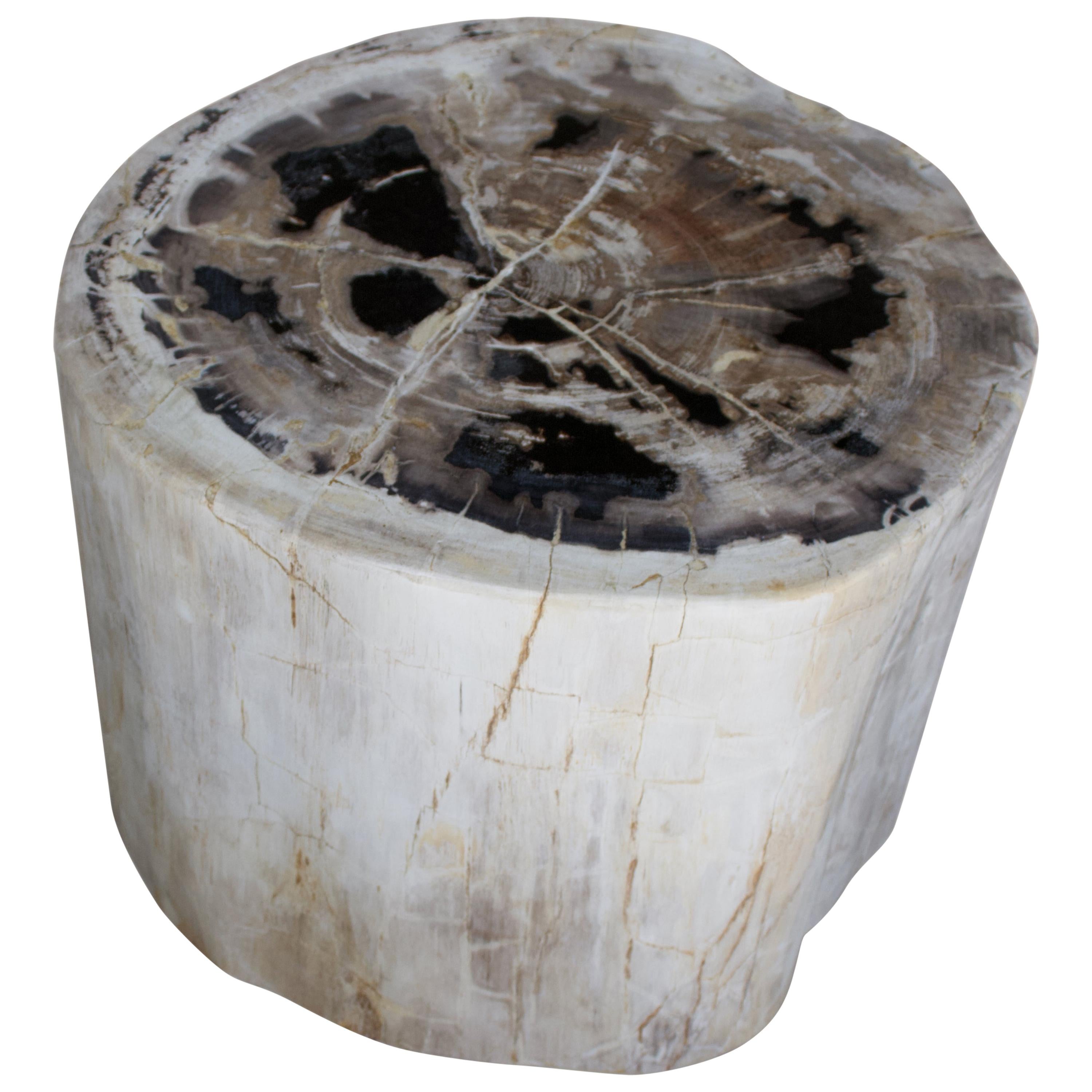 Andrianna Shamaris Neutral Toned Petrified Wood Side Table