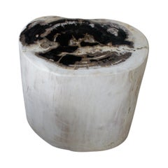Andrianna Shamaris Neutral Toned Petrified Wood Side Table