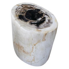 Andrianna Shamaris Neutral Toned Petrified Wood Side Table