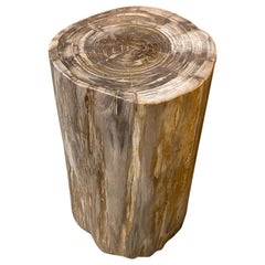 Antique Andrianna Shamaris Neutral Toned Petrified Wood Side Table