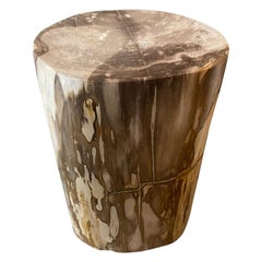 Andrianna Shamaris Neutral Toned Petrified Wood Side Table Andrianna Shamaris Neutral Toned Petrified Wood Side Table