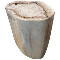 Andrianna Shamaris Neutral Toned Petrified Wood Side Table
