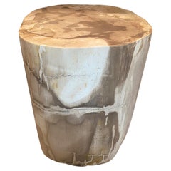 Andrianna Shamaris Neutral Toned Petrified Wood Side Table