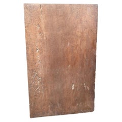 Andrianna Shamaris Nias Wood Single Panel