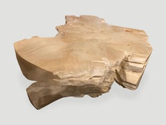 Andrianna Shamaris Organic Bleached Teak Root Coffee Table