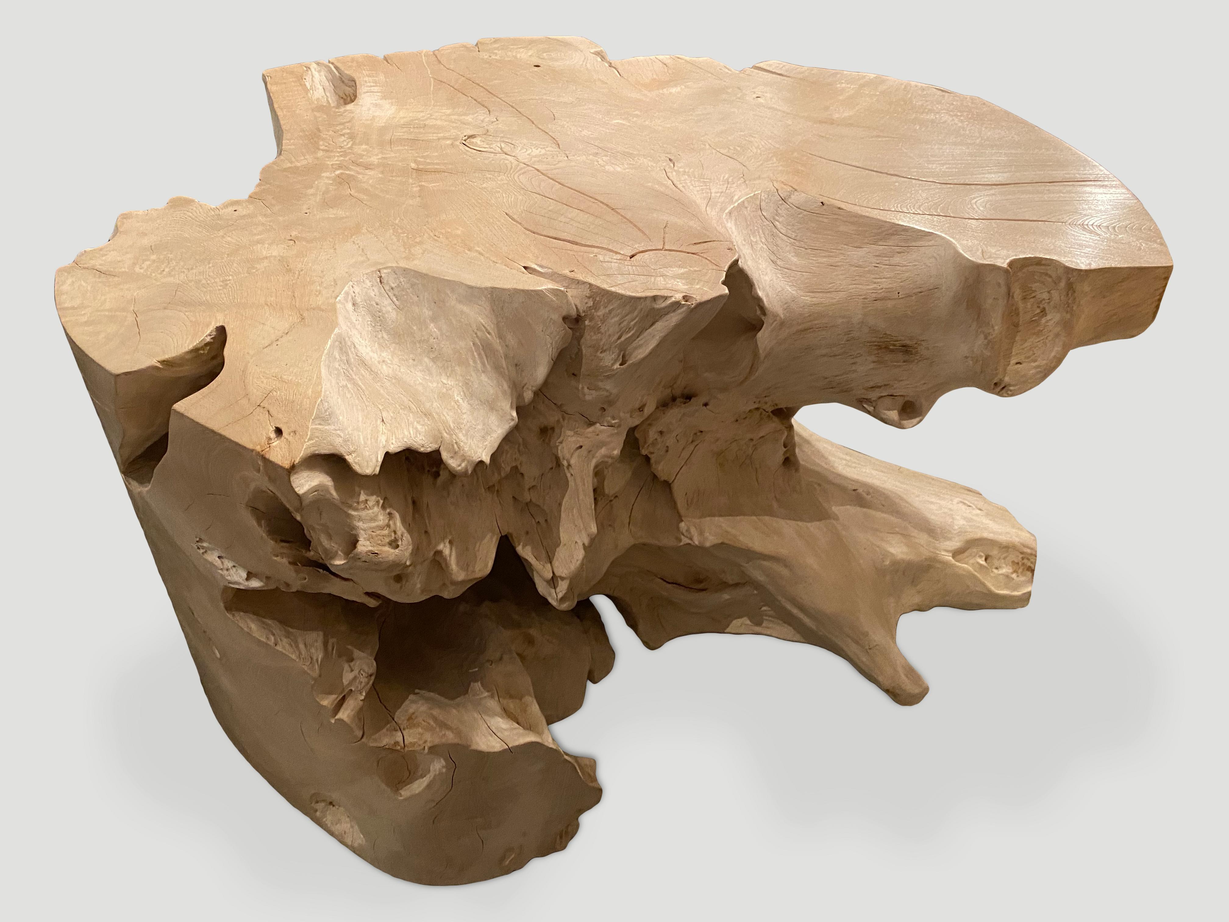 Contemporary Andrianna Shamaris Organic Bleached Teak Root Coffee Table