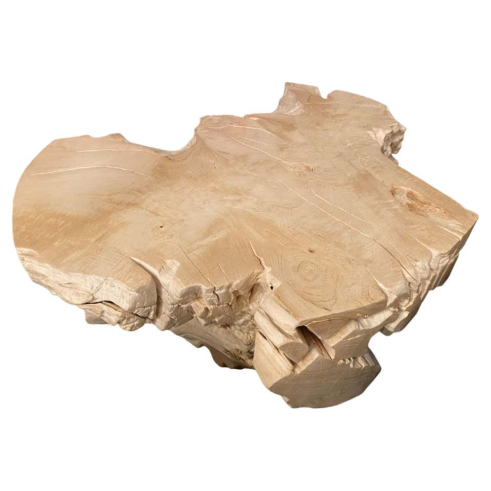 An Organically-Shaped Tropical Teak Stump and Root Hardwood Coffee ...