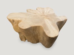 Andrianna Shamaris Organic Bleached Teak Wood Coffee Table