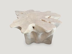 Andrianna Shamaris Organic Bleached Teak Wood Coffee Table