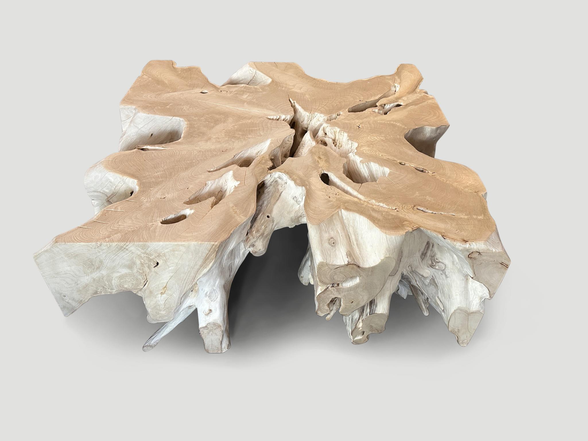 Impressive teak root coffee table. Hand carved into this beautiful shape whilst respecting the natural organic wood. We added a polish to the top and the flat sections on the side for a slight bone contrast and protection. It’s all in the details.