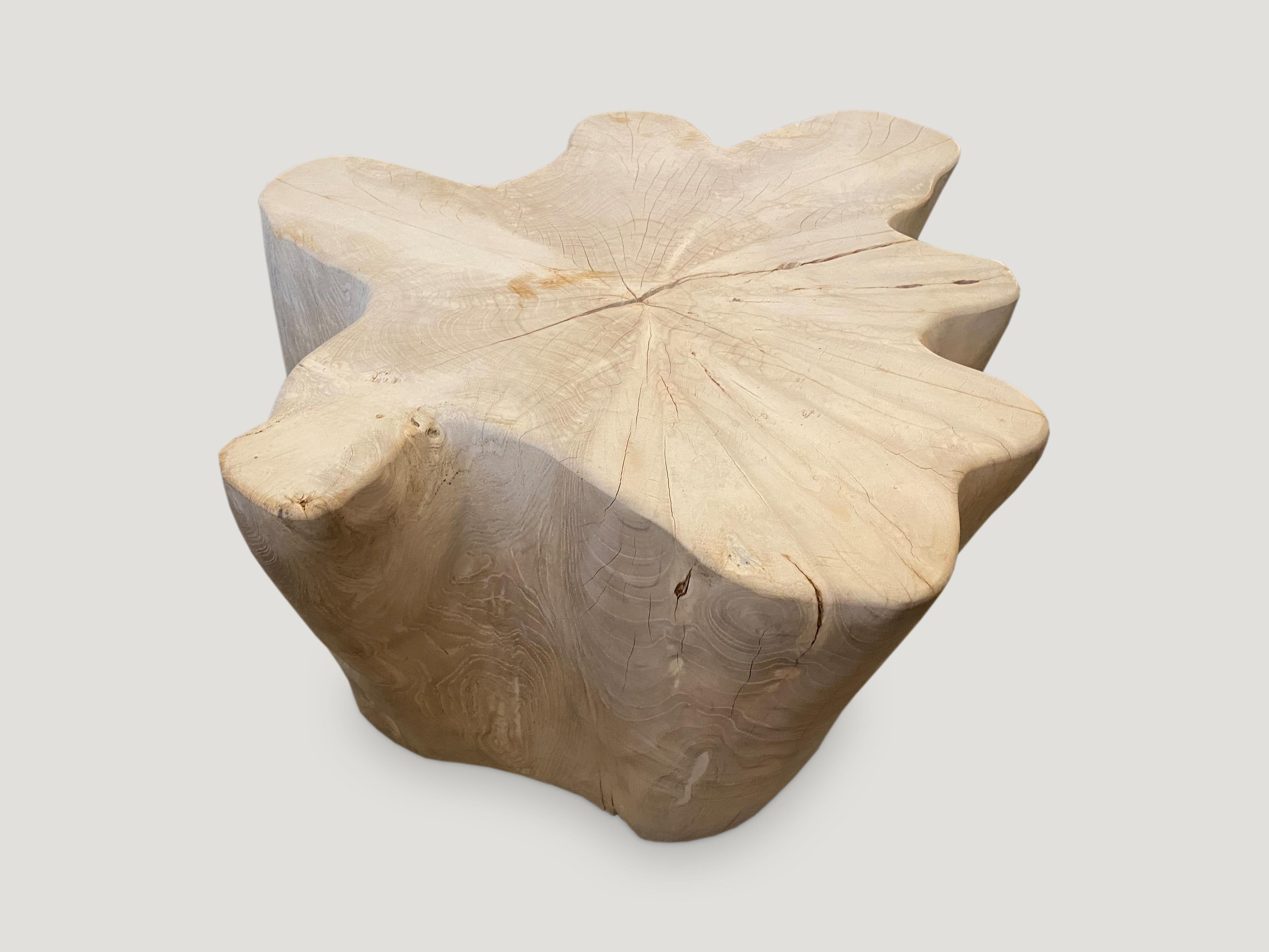 Organic Modern Andrianna Shamaris Organic Bleached Teak Wood Coffee Table