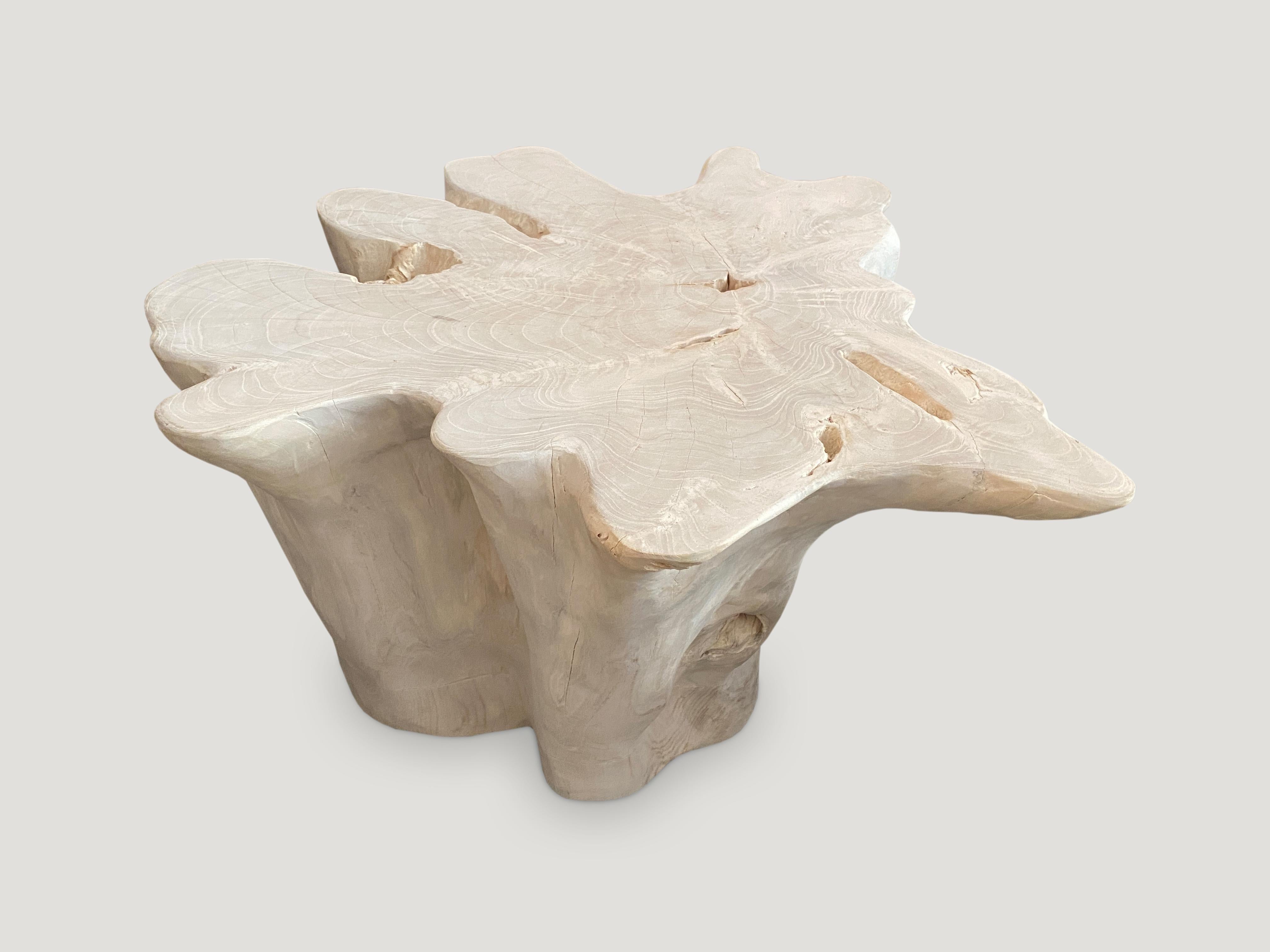 Andrianna Shamaris Organic Bleached Teak Wood Coffee Table In Excellent Condition In New York, NY