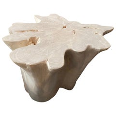 Andrianna Shamaris Organic Bleached Teak Wood Coffee Table