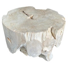 Andrianna Shamaris Organic Bleached Teak Wood Coffee Table