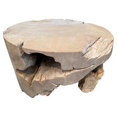 Andrianna Shamaris Organic Bleached Teak Wood Coffee Table or Pedestal