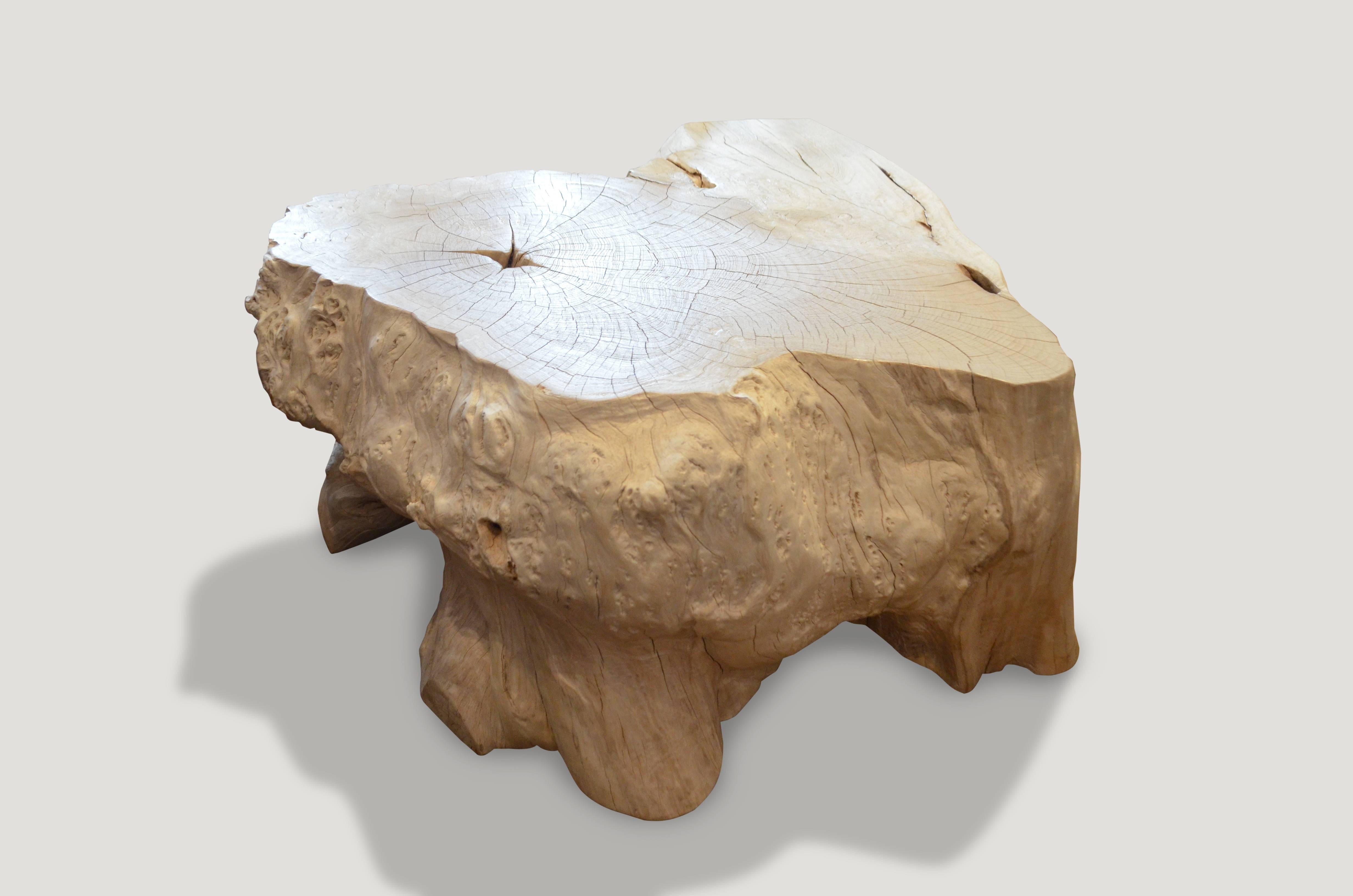 Reclaimed teak wood root, natural organic shape coffee table or side table. Organic is the new modern.

The St. Barts collection features an exciting new line of organic white wash and natural weathered teak furniture. The reclaimed teak is left