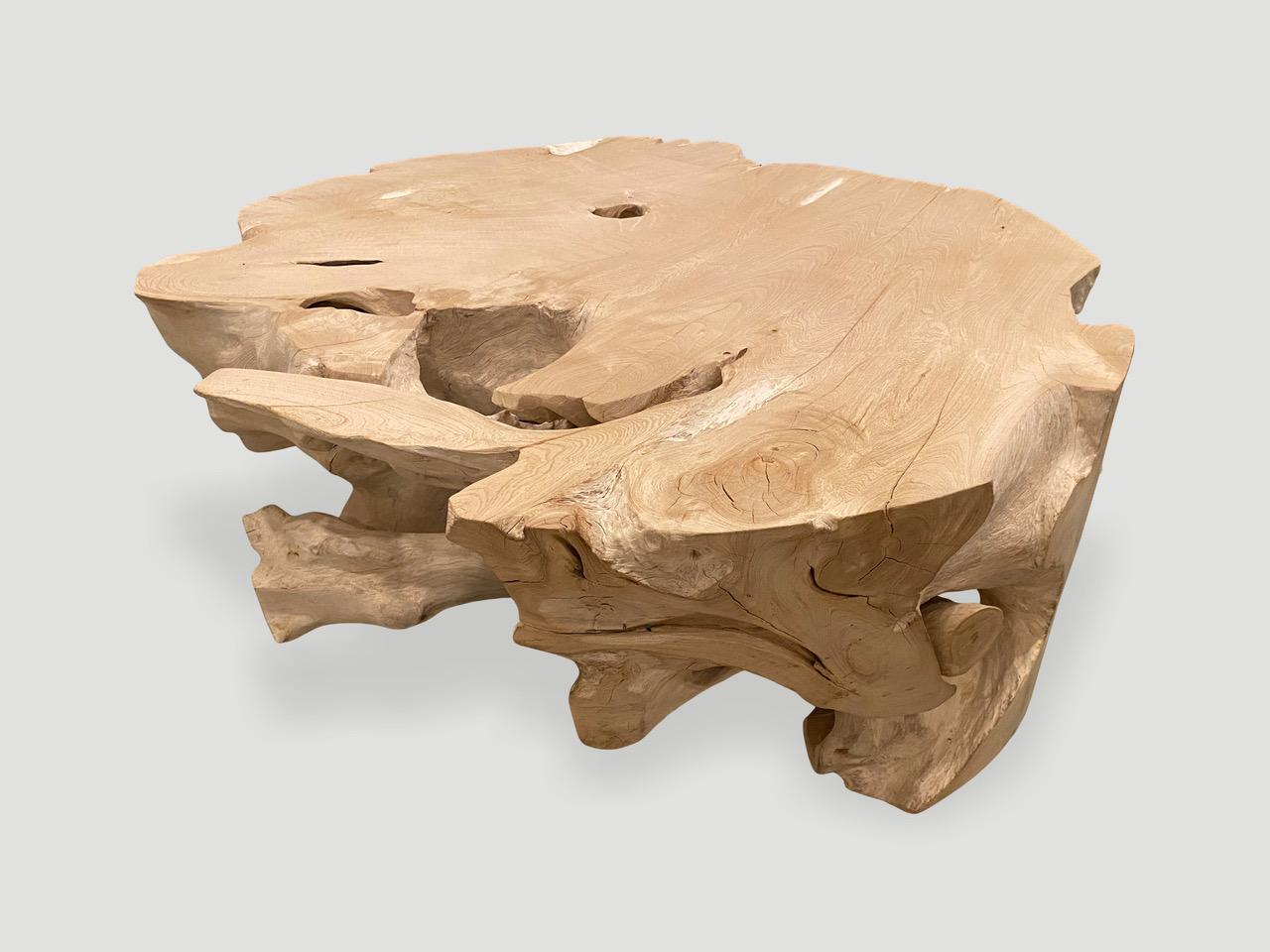 Andrianna Shamaris Organic Bleached Teak Wood Coffee Table or Side Table For Sale 2
