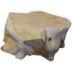 Andrianna Shamaris Organic Bleached Teak Wood Coffee Table or Side Table