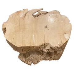 Tavolino o tavolino in legno di teak sbiancato organico di Andrianna Shamaris