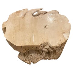 Table basse ou table d'appoint Andrianna Shamaris en bois de teck blanchi organique