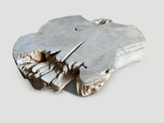 Andrianna Shamaris Organic Bleached Teak Wood Root Coffee Table
