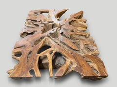Andrianna Shamaris Teak Root Coffee Table, Wabi-Sabi Design
