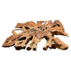 Andrianna Shamaris Organic Century Old Teak Wood Coffee Table