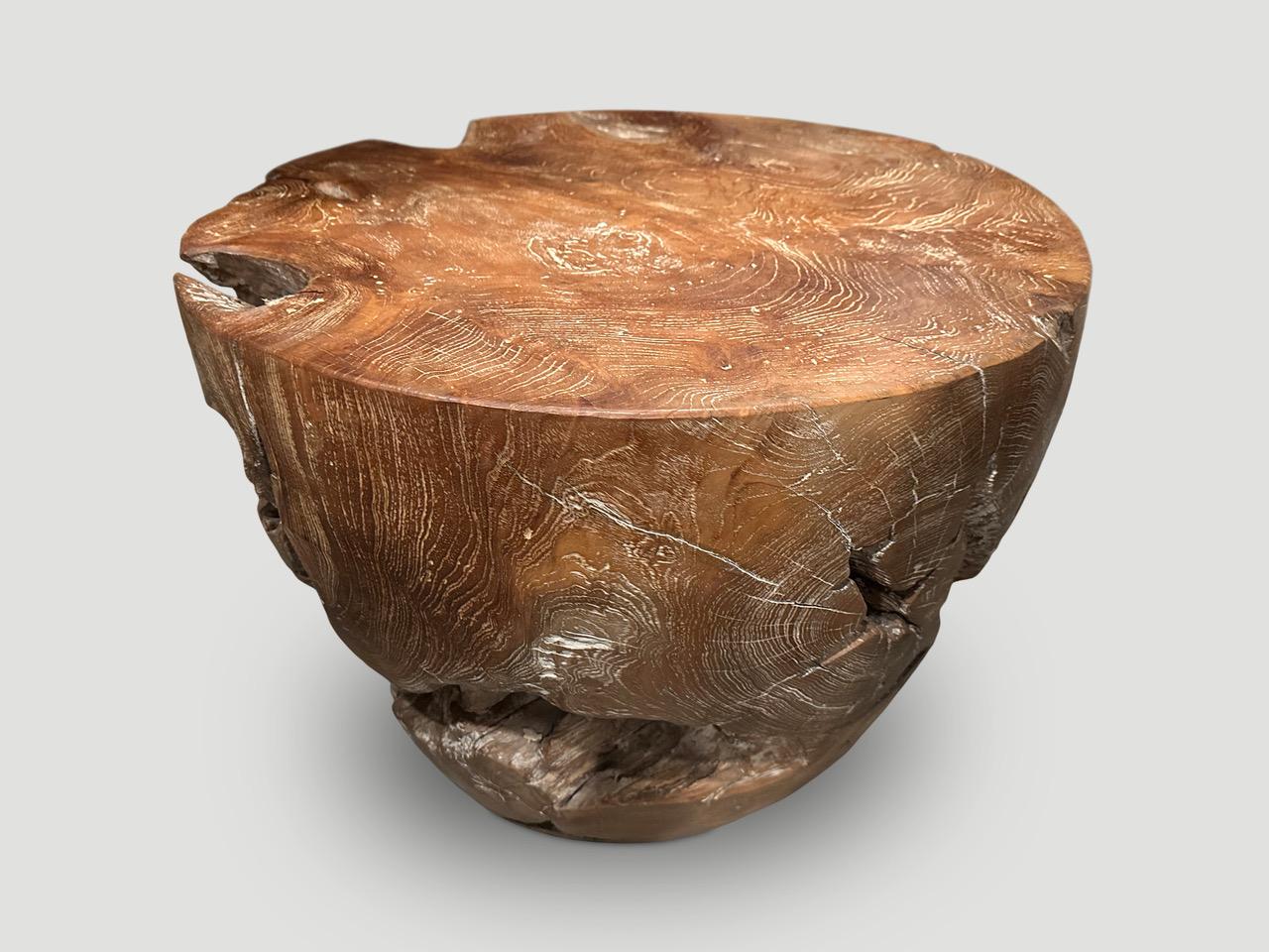 Impressive natural teak side table hand carved from a single reclaimed teak root into this sculptural drum shape. We added a light ceruse revealing the beautiful wood grain. Custom sizes and stains available. A perfect combination of modern and