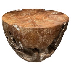 Andrianna Shamaris Organic Cerused Teak Wood Side Table