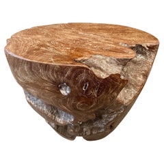 Andrianna Shamaris Organic Cerused Teak Wood Side Table