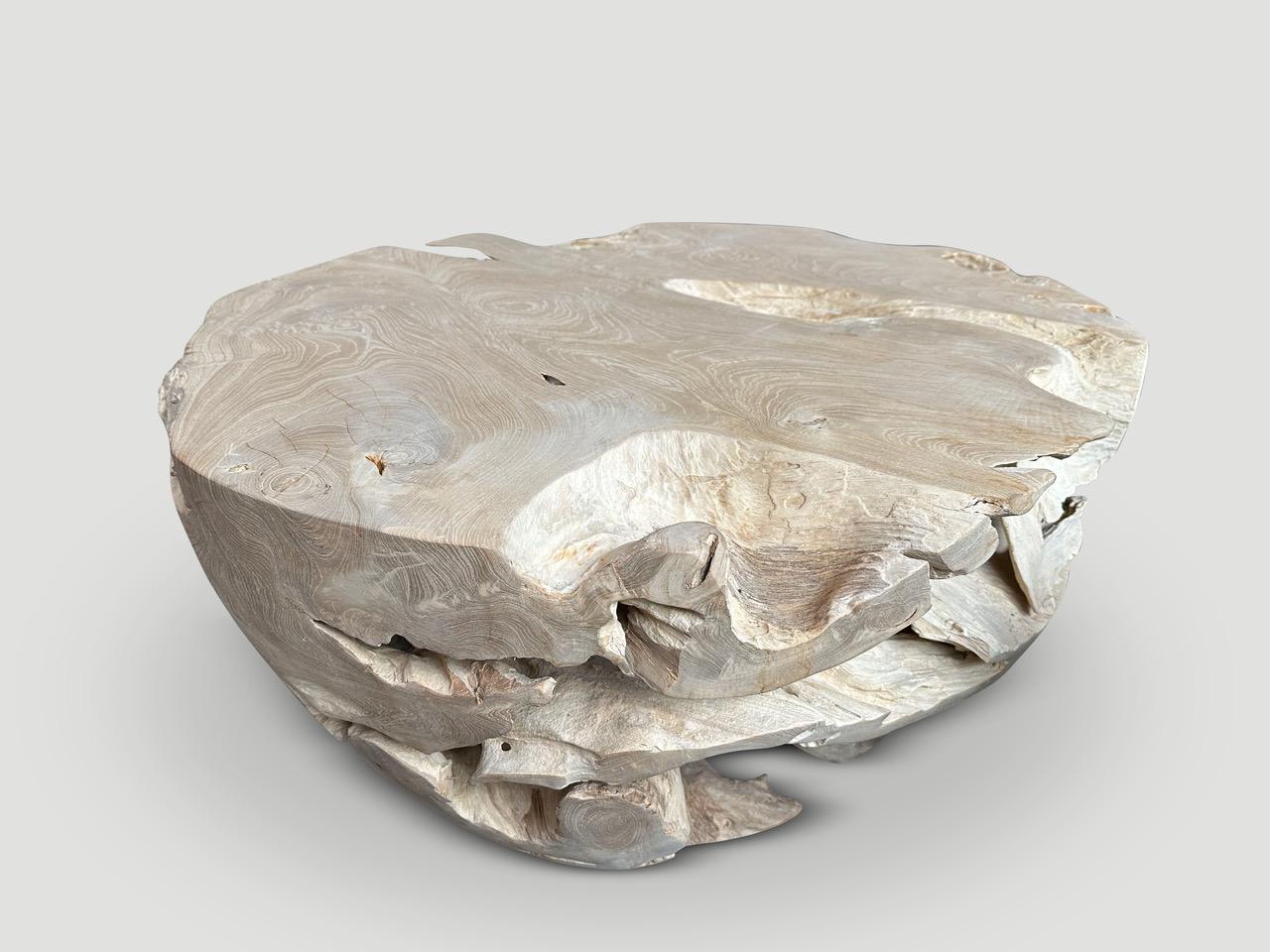 Organique Andrianna Shamaris Table basse en bois de teck en forme de tambour organique en vente